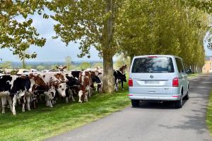 Transport avec chauffeur en Normandie